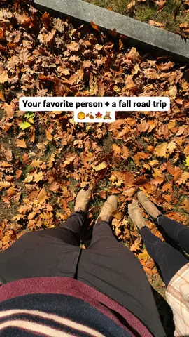 Fall will forever be our favorite time of season 🍁 #october #fall #autumn #autumnleaves #autumntok 
