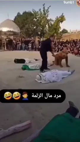 نعود بالاسد😂 #فيديوهات #انستغرام #iraqitiktok #الشعب_الصيني_ماله_حل😂😂 #انستقرام 