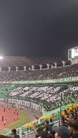 gae hiburan meskipun kalah🤮#greennord27 #persebayaday #persebayavspersija 