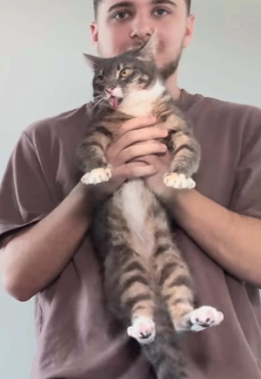 Full Video is Up! Go check it out 🫶 #fyp #catcontent #catsoftiktok #sillycat #rigbycat 