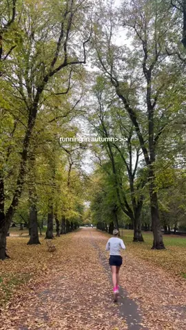 Autumn 🍂🫰🏼🥺 #autumnvibes #Running #manchester #nature 