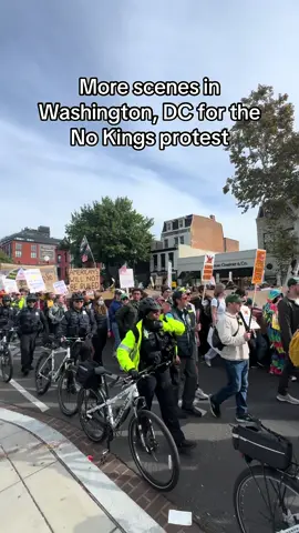 More scenes in Washington, DC for the No Kings protest #dc #dcphotographer #washingtondc #nokings 
