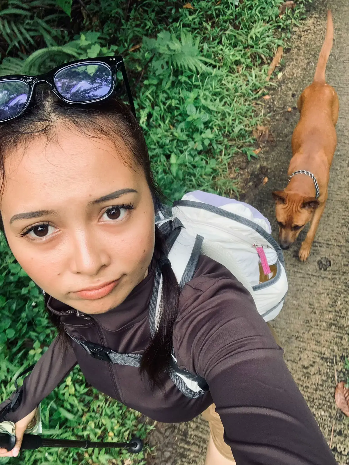 Utu & betis kekarnya#gunungrajabasa #gunungrajabasa1281mdpl #rajabasalampung  #tektokrajabasa 