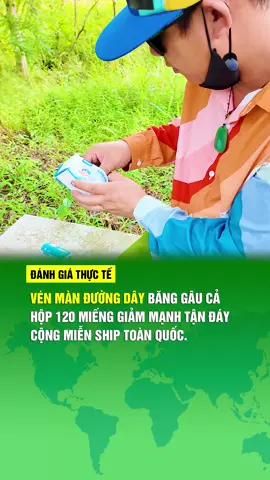 Băng gâu giá rẻ giảm mạnh xuống đáy. #banggaugiare 