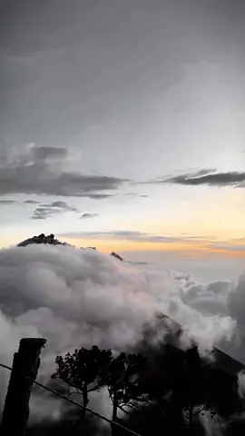 ياعبادي الذين أسرفوا على أنفسهم، لاتقنطوا من رحمة الله.. #رحمة_الله #التوبة#آية #تأملات#قرآن 