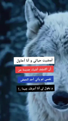 أمضيت حياتي و أنا أحاول أن اكتشف أشياء جديدة عن نفسي ثم يأتي أحد الحمقى و يقول لي أنا أعرفك جيدا ! #foryoupagee #tiktokindia #learnontiktoktogether #viralvideos #fypシ゚viralالشعب_الصيني_ماله_حل😂😂 