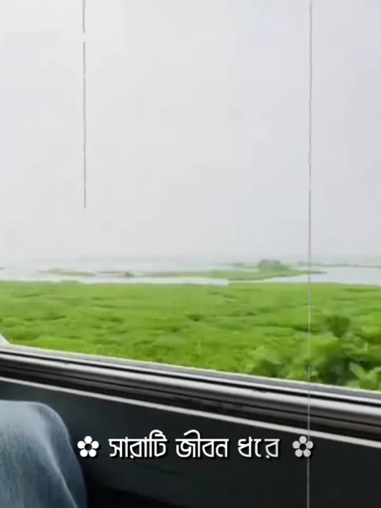 - না বলা কথা গুলো আজ বলে দিতে চাই 😫💓 #lyrics #lyrics_rahat #foryou #viral #asthetic @TikTok Bangladesh @TikTok 