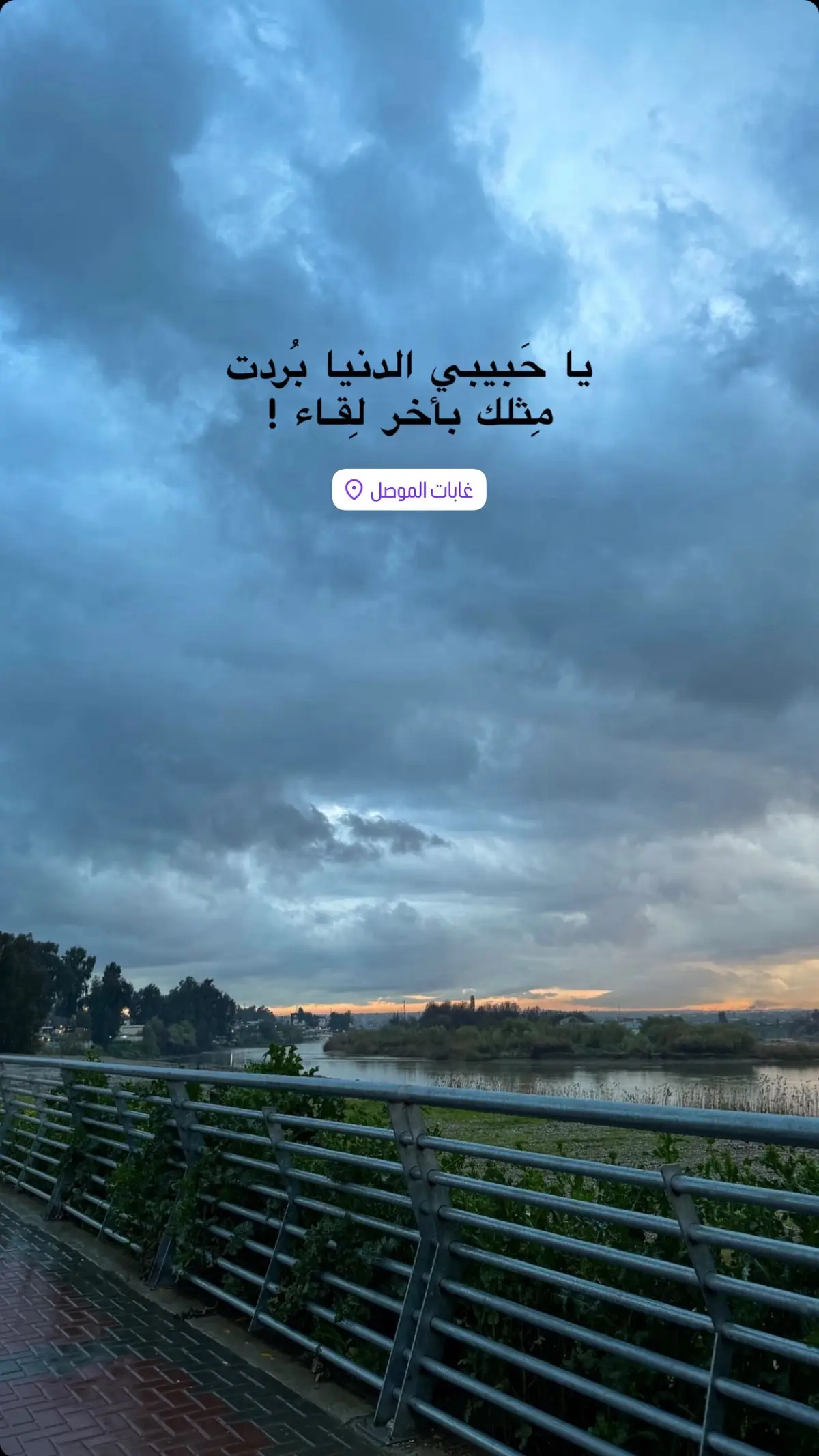 #عباراتكم #شعر #جامعة_الموصل #الحقوق #الشعب_الصيني_ماله_حل😂😂 