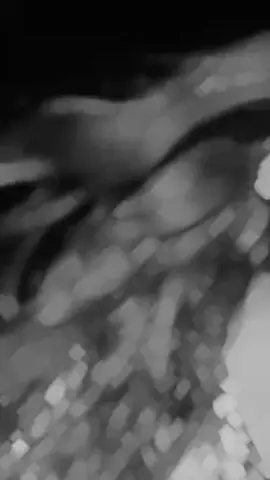 #افرشي_شعركي_فوقي_مثل_غابات_النخيل #اعاده_نشر🔁 #صعدوو_ءڪڪسبلور_للايڪ_متابعه #لايك__explore___ #مشاهداتكم⬆️⬆️⬆️⬆️⬆️⬆️ 