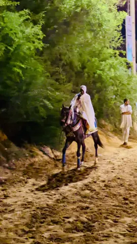 #الله_يبارك😉❤️🖐🏻 #fyp #مصراته_الصمود🇱🇾🇱🇾🔥😌 #تصوير_الكونتي #ليك______🖤___متابعه____اكسبلووور 