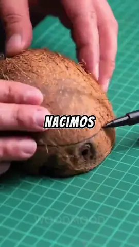 La parte 2 está en el canal UMBRAL1k de Bio, em De YouTube  #askreddit #redditespañol #tiktokspain #horror #historiasreddit    