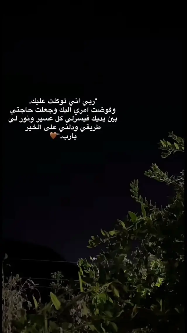 🤎 ...