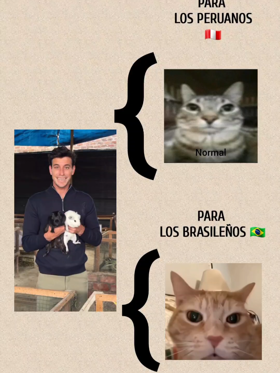 Perú: Normal 😎 | Brasil: 🤣 #perú #diferenciacultural #memeenespañol #funnyvideos #aprenderespañol 