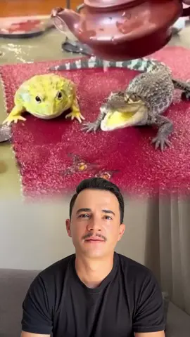 Bela reflexão