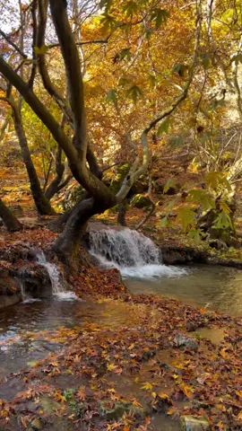 💙⛰️#fypシ #kurdistan🇹🇯️ #davarabarzan #سروشتى_جوانى_كوردستان #ᒍᗩᗯᗩᖇ🍁 