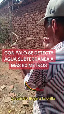 IMPRESIONANTE COMO UN CHIQUITANO DETECTA AGUA CON PALO DE GUAYABA EN SAN IGNACIO DE VELASCO. Si quieres su servicio está en el video el contacto. Observe como lo hace ⬇️📹🔻 #descubrimiento #agua #ciencia #virals  #sanignaciodevelasco🇬🇦 @Guinness World Records @FLADES @Ramiro Ballivian 21 @CNN Breaking News 