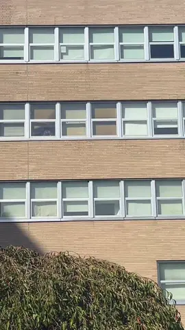 Hospital kids allow না …তাই বাহির থেকে দেখাই নিলাম…#bangladesh🇧🇩 #fypシツpost💥🤞i @everyone @Followers  