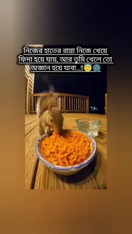 😋🥲😇🌚🤣🤣🤣🤣 #funnyvideos #☺️😊foryoupage❤️❤️❤️foryou #copylink #bdtiktokofficial #ফানি_ভিডিও😀😀😀😳মজা @Xs 