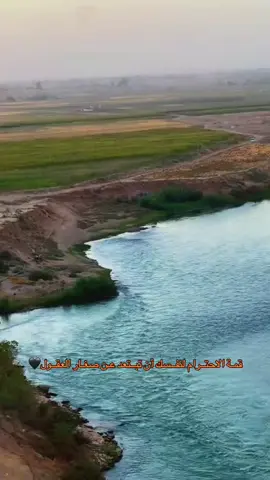 #لايكات # الشعب الصيني ماله حل 😂😂 #CapCut #@عـبد الكـــريم|| 𝑨 @