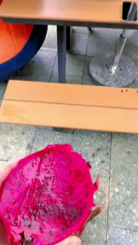 #funnyvideos #funny #funnyanimals #fyp #fypシ 