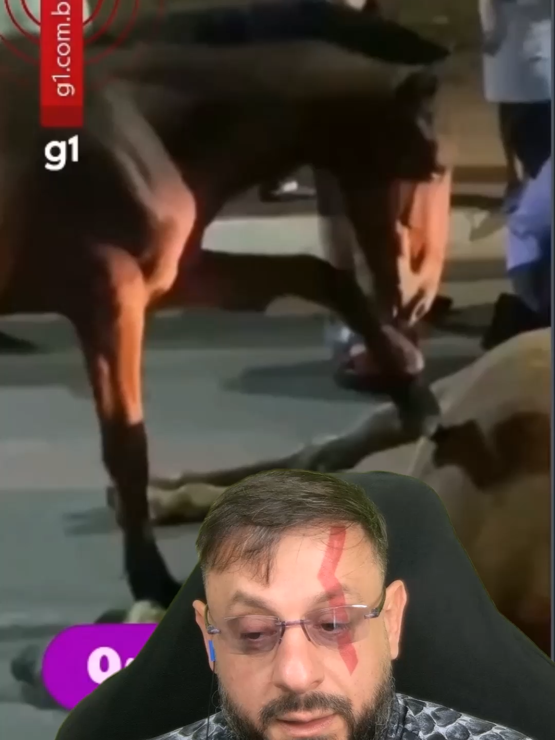 Cavalo tentando reanimar a mãe? #biologohenrique #animais #bichoesperto #biologo