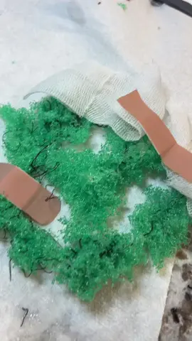 Scrubby is recovering nicely#scrubby #fyp #imtiredofthisgrandpa #scrubdaddy #healing 