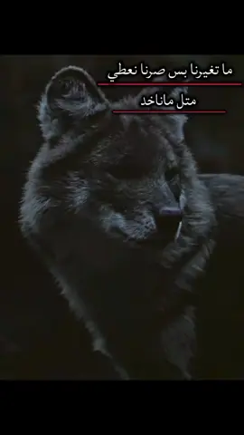 عبارات عميقه 🖤#عبارت_جميله_وقويه😉🖤 #سوريا_تركيا_العراق_السعودية_الكويت_عمان #trending 