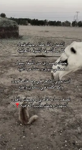 والله يجيب العافيييه ❣️❣️❣️. #fyp #4u #explore #viral #explorepage 