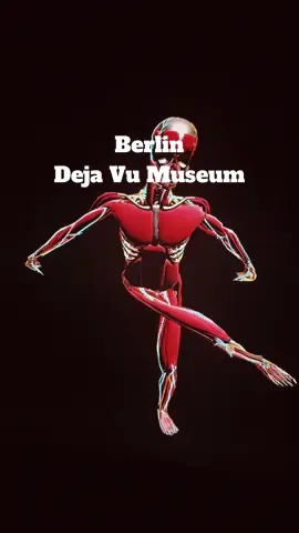 cool and fun @dejavumuseum #berlin #museumofillusions #interactive  #interactivemuseum #thingstodoinberlin 