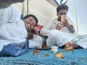 #متابعين 
