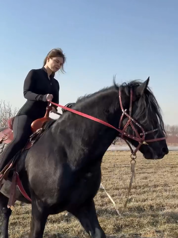#womencricket horse lover 