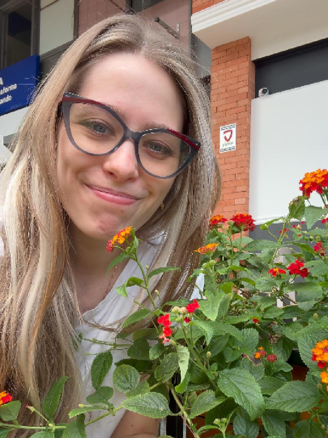 Lantana Lista de espera do livro Plantas para Polinizadores – link na bio 🐝 #dedoverde #hortas #hortaorganica #hortaemvasos #hortaemvaso #horta #hortaemcasa #hortaurbana #hortacaseira #hortaorgânica #hortaemapartamento #plantar #plantio #jardinagem #lantana