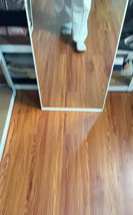 #sweatpantsbaggy #sweatpantspecahpola #sweatpants 