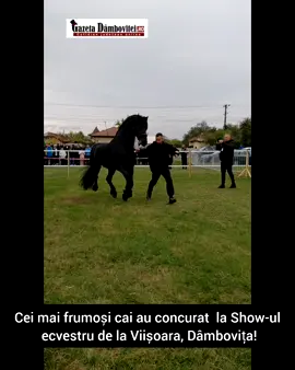 #cai #Viișoara #Dâmbovița #Marcus #castan 