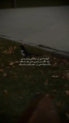 نعم🤍#قونيا________________قونيا😌💙 #تصويري 