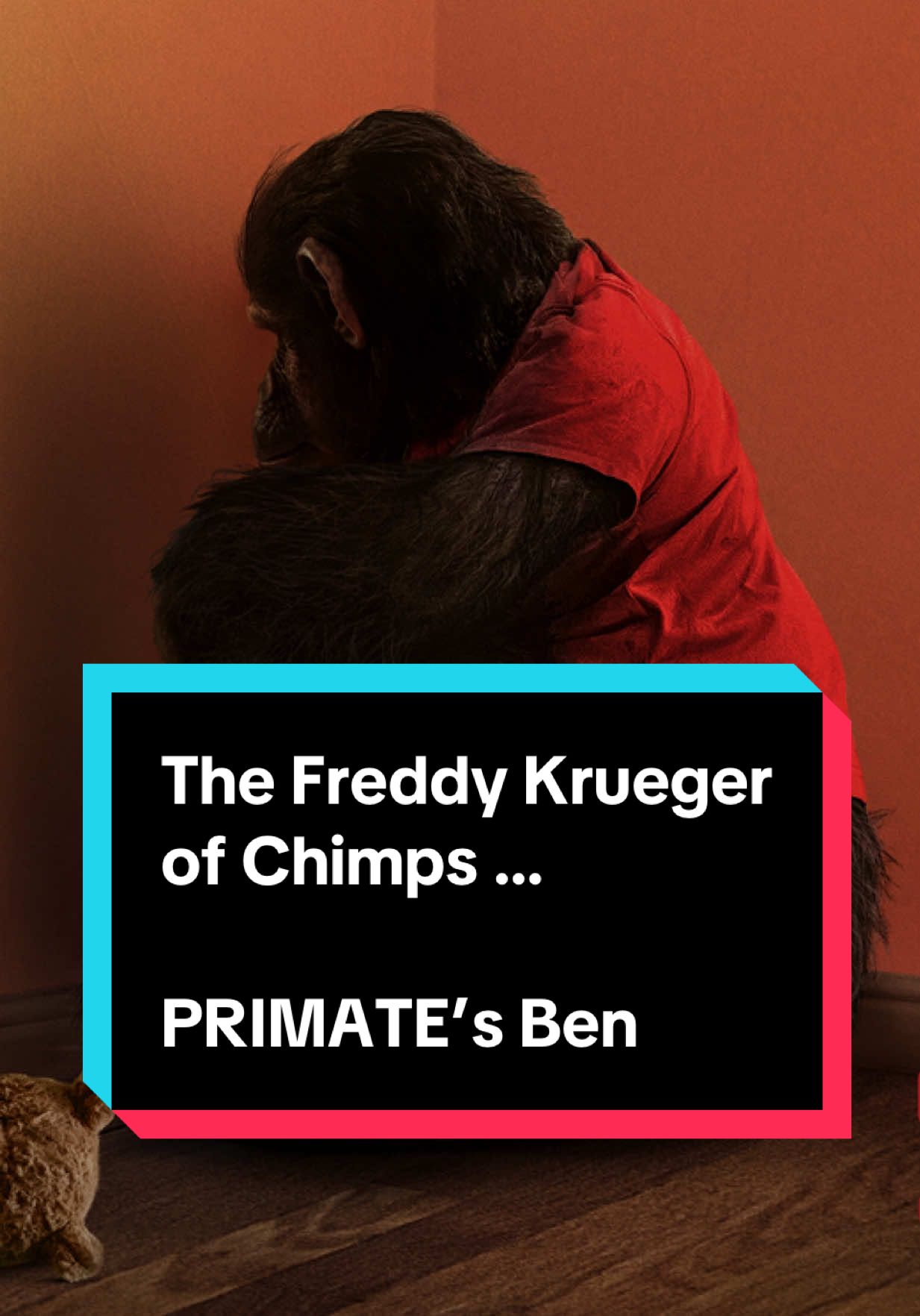 Hope you’re ready for a very strong start to 2026 on the big screen. Admittedly, this particular thing is what I was most nervous about with PRIMATE, but Johannes Roberts and co. absolutely nail the balance here. HIGHLY recommend catching Primate on the big screen, in a packed house beginning January 9! Until then, watch my full chat with Johannes and stars Johnny Sequoyah & Troy Kotsur on Collider! #primate #horror #interview #movie #horrormovies 