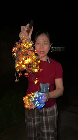 Đây đèn led trang trí sân vườn sử dụng năng lượng mặt trời #TikTokAwardsVN #tiktok #xuhuong #denledtrangtringoaitroi #denlednangluongmattroi 