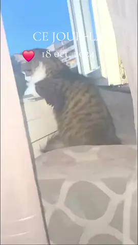 #cejour-là #fanny #🙋‍♀️ #pourtoii #فيرال 