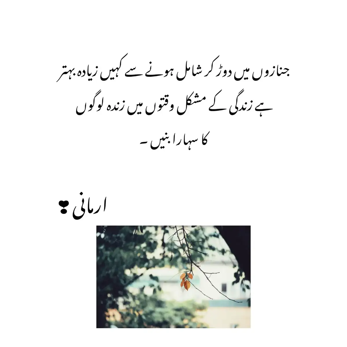 جنازوں میں دوڑ کر شامل ہونے سے کہیں زیادہ بہتر ہے کہ زندگی کے مشکل وقتوں میں زندہ لوگوں کا سہارا بنیں #viralaccount🖤👍 #armani #armaniwrites0 #fypofficial #viralvedio😭😭 
