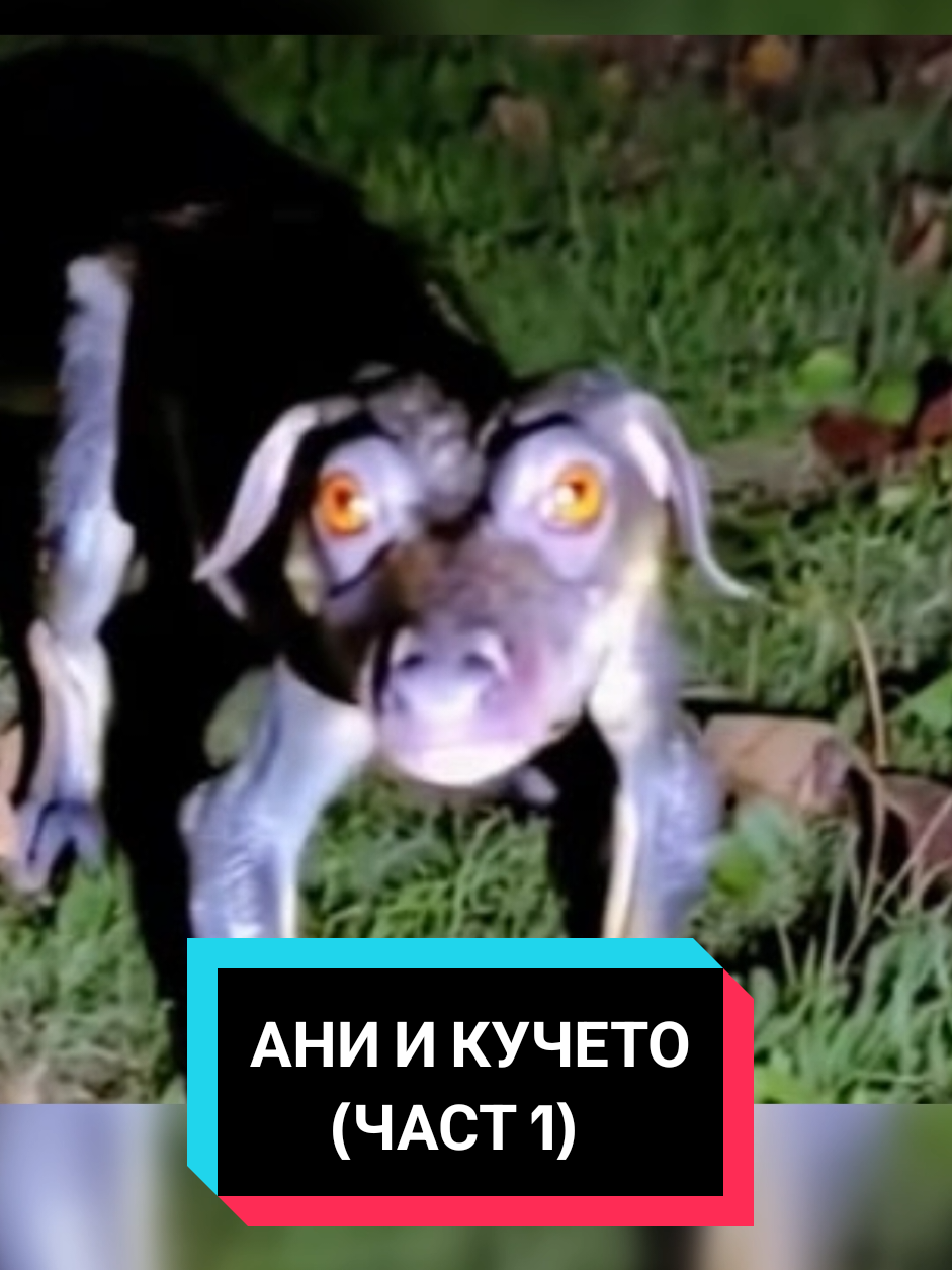 Ани и Купето (част 1) #bulgaria #realstory #truestory #LearnOnTikTok #part1 