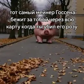 #mlbb #mobilelegends #мобайллегенд #млбб #госсен #госсенмлбб #чушня #свинья 