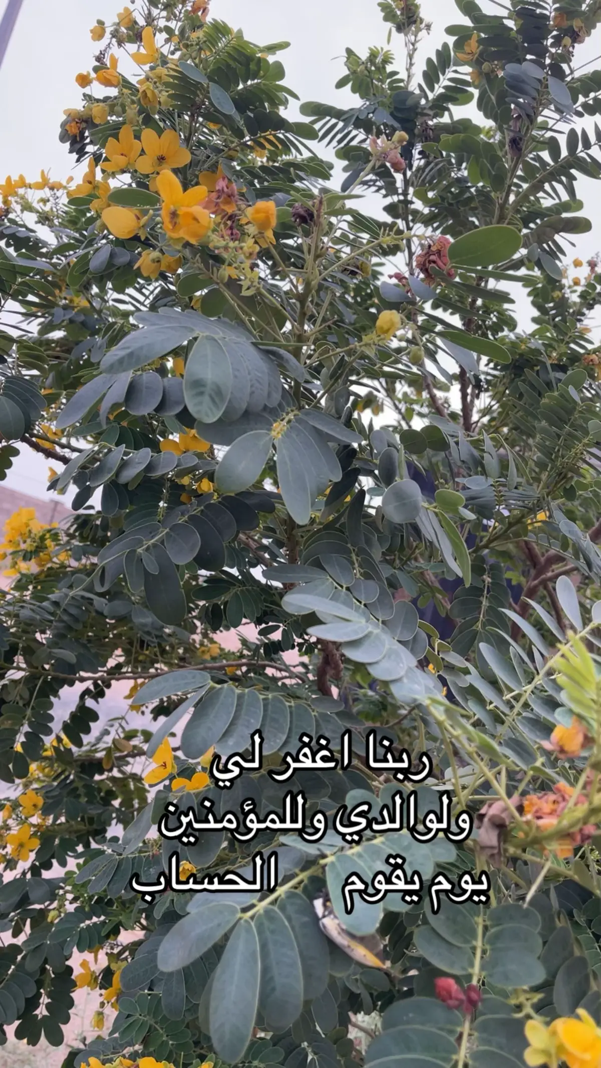 ‏ربنا اغفر لنا وارحمنا واعفو عنا ‏إنك أنت الغفور الرحيم الكريم العزيز الودود