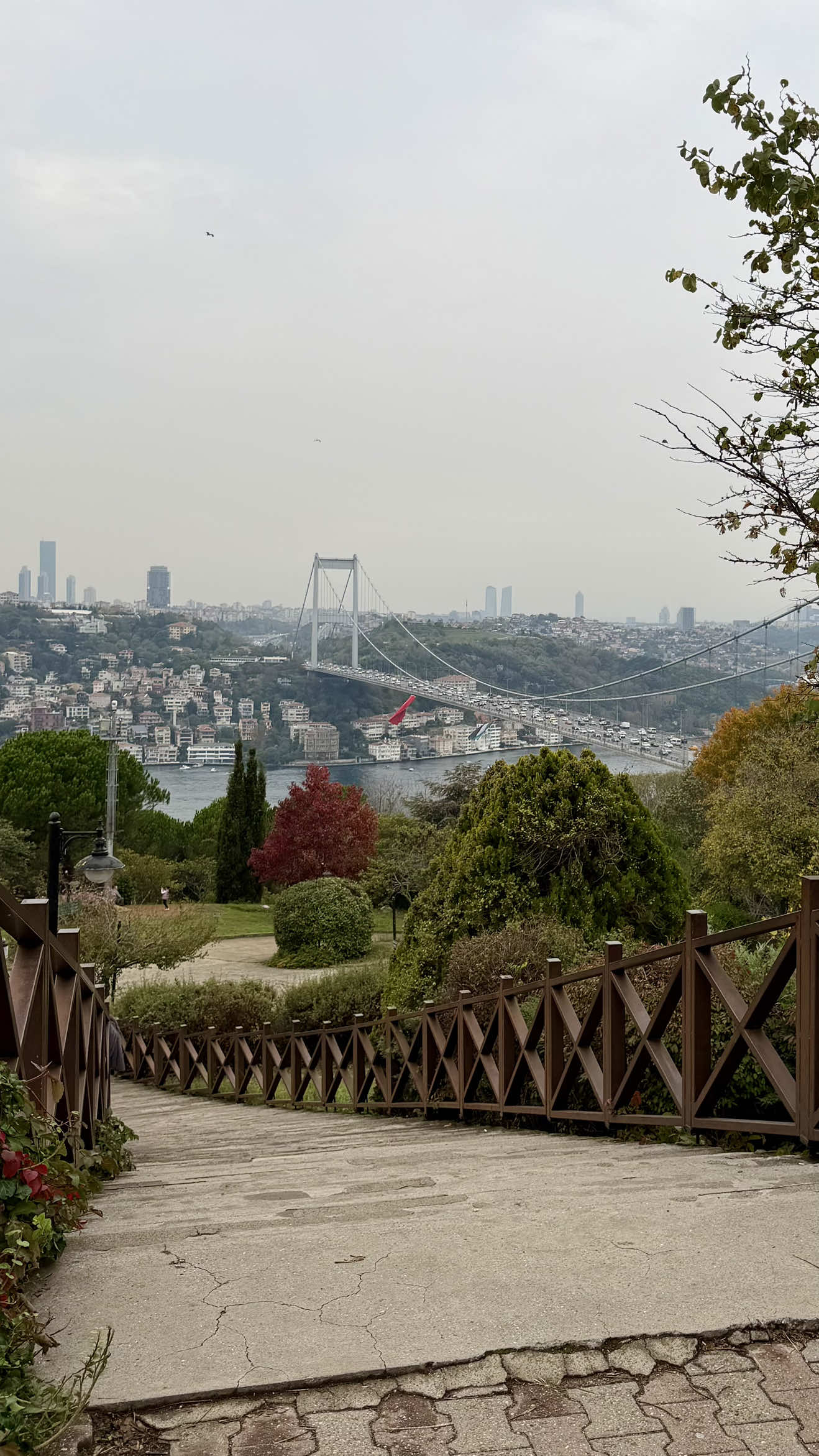 ☁️☁️🍁 #istanbul #اسطنبول   