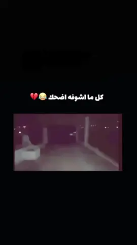 😂😂😂😂😂😂😂😂😂😂