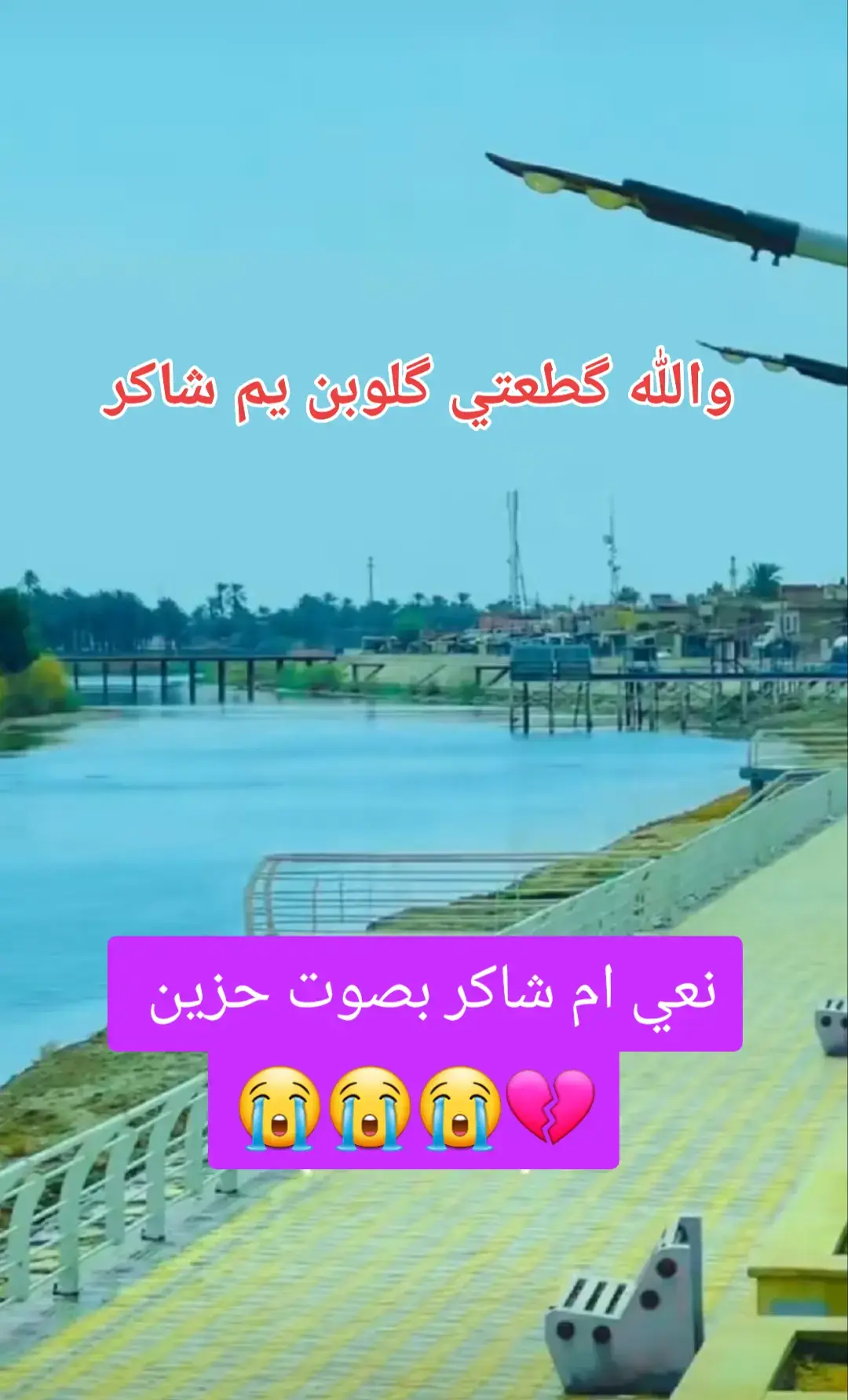 #نعي ام شاكر #نعي 😭حزين #يفطر الگلب بصوت 😭حزين  #والله گطعتي 😭 گلوبن يم شاكر #ناصريه بصره بغداد العراق 