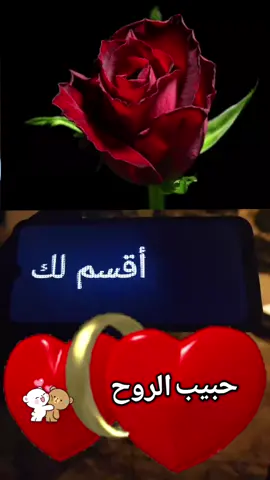 حبيب الروح #houssin 