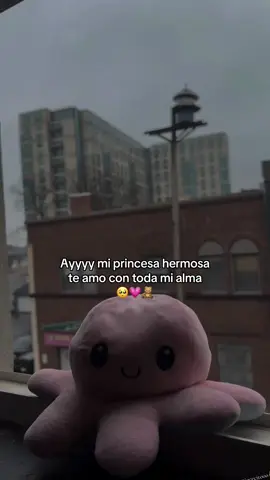 #virall #paratiiiiiiiiiiiiiiiiiiiiiiiiiiiiiii #viraltiktok #fyppppppppppppppppppppppp 