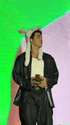 SCOUPS GOING DOWN TO US WAS INSANEEEE ✨😍 #seventeen #seventeenla #bmostadium #scoups #svt