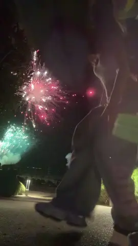 wel love fire works #fypageシ #foryoupage #relatible #viral 