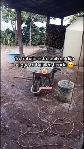 ##bandolife🥷💸 👷